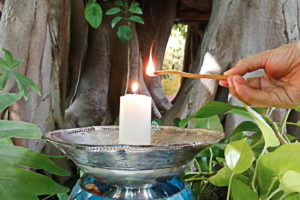 como-usar-el-palo-santo-bursera-graveolens